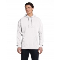 Comfort Colors Hooded Sweatshirt - Crest